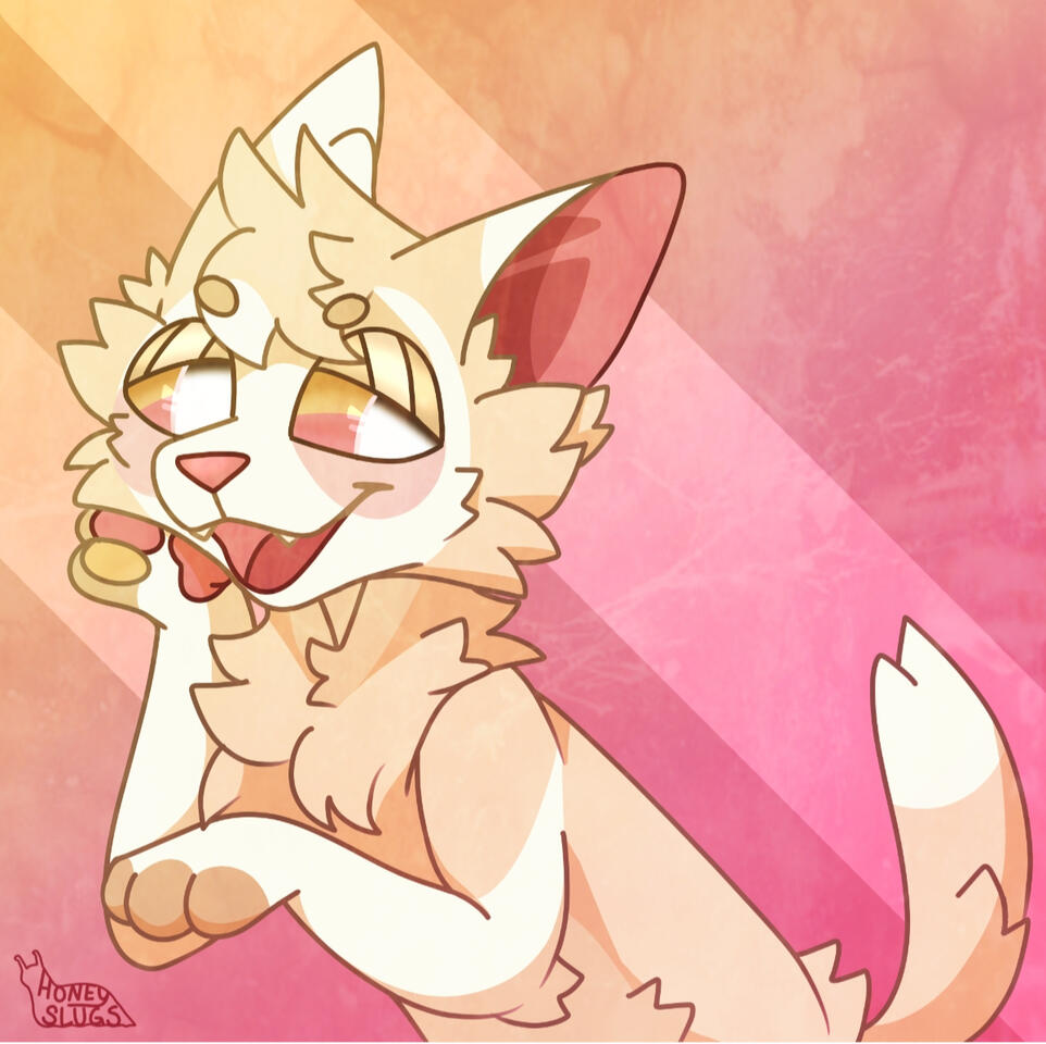 Halfbody $25
